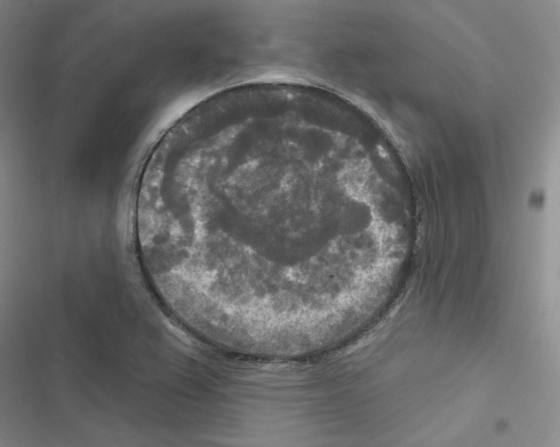 X0000116571367201001211235