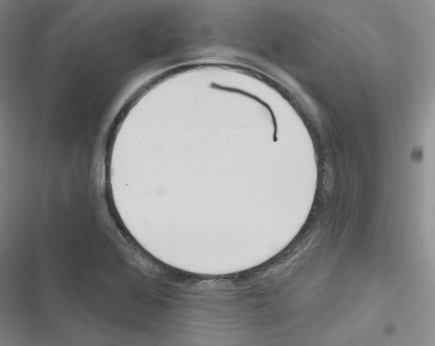 X0000116571368201001211235