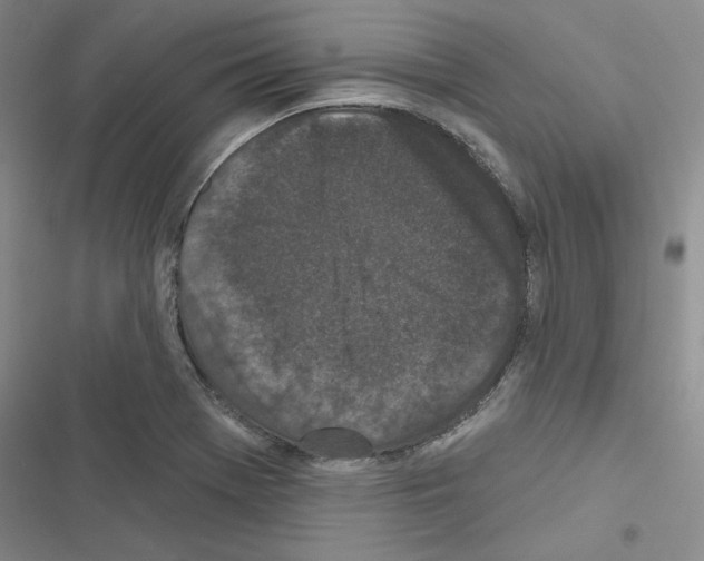 X0000116571369201001211235