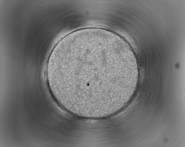 X0000116571371201001211235