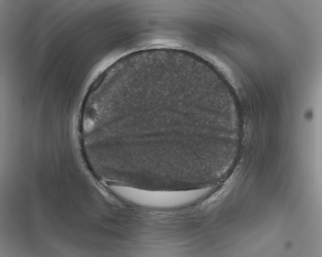 X0000116571373201001211235