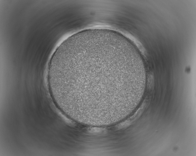 X0000116571374201001211235