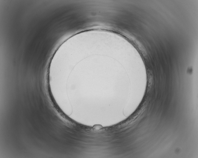 X0000116571375201001211235