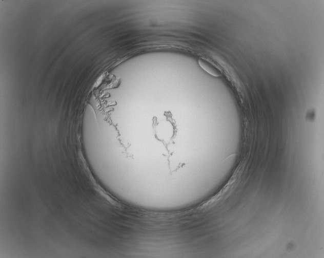 X0000116571377201001211235