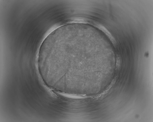 X0000116571378201001211235