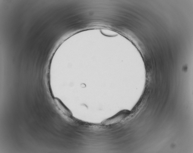 X0000116571379201001211234