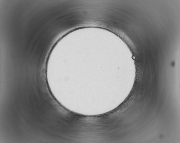 X0000116571380201001211234