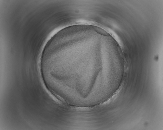 X0000116571381201001211234