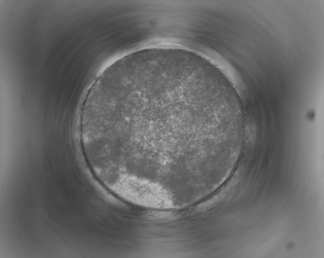 X0000116571382201001211234