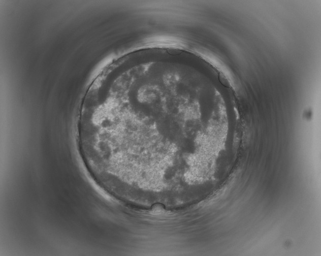 X0000116571383201001211234