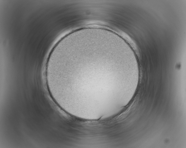 X0000116571384201001211234