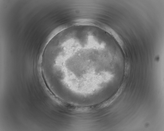 X0000116571386201001211234