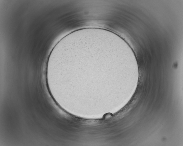 X0000116571387201001211234