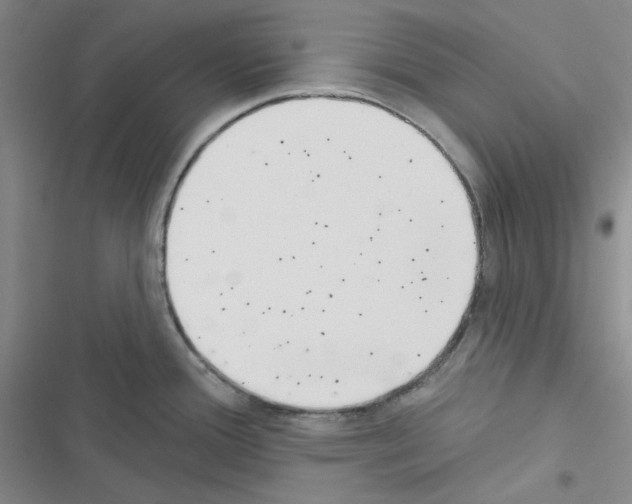 X0000116571388201001211234