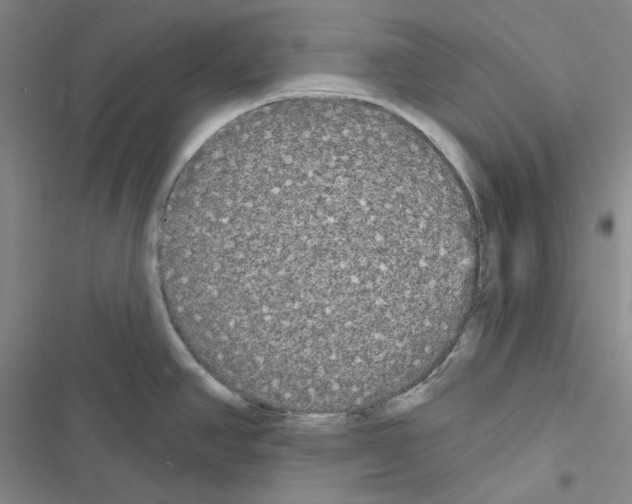 X0000116571390201001211234