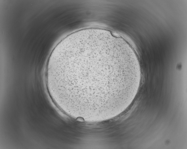 X0000116571391201001211234