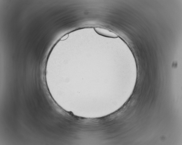 X0000116571392201001211234