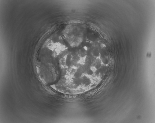 X0000116571393201001211234