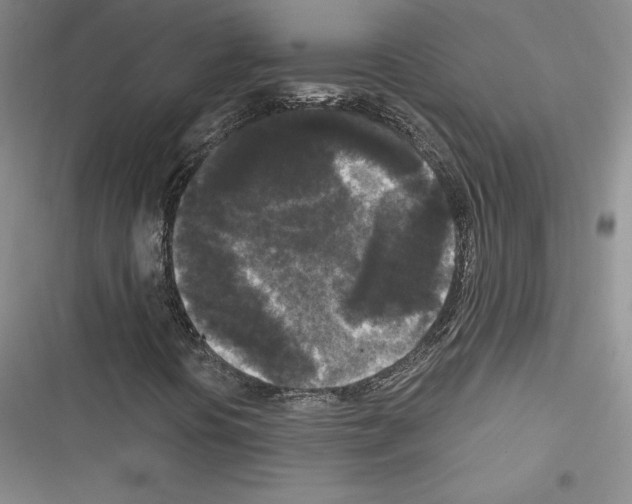 X0000116571394201001211234