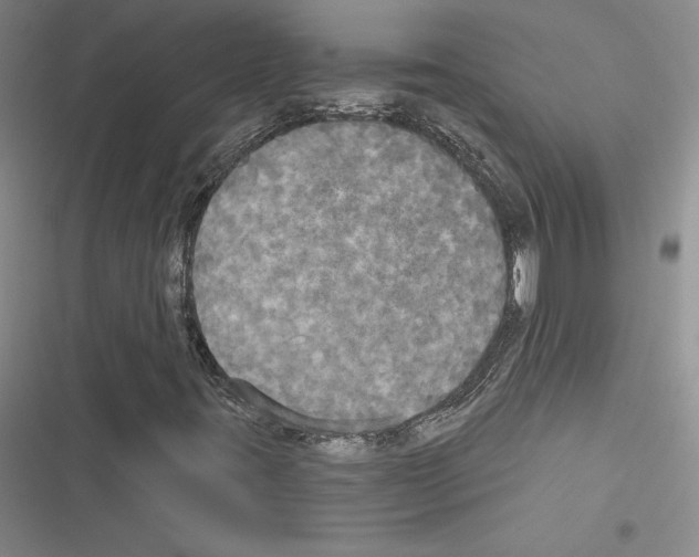 X0000116571395201001211234