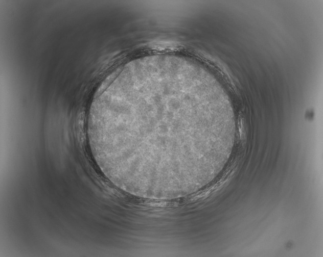 X0000116571396201001211234