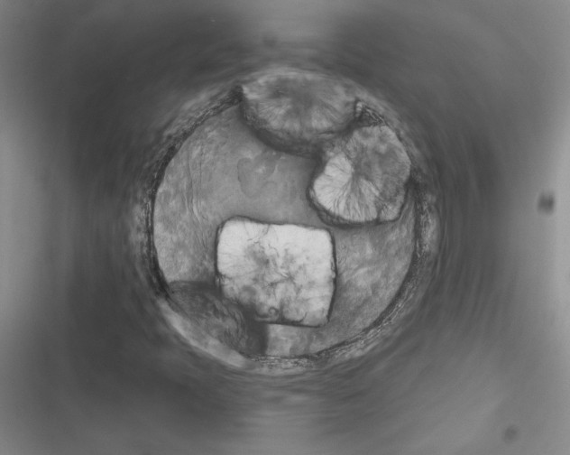 X0000116571397201001211234