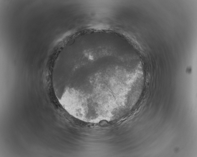 X0000116571398201001211234