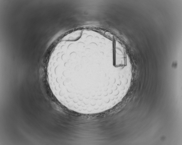 X0000116571400201001211234