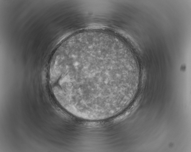 X0000116571401201001211234