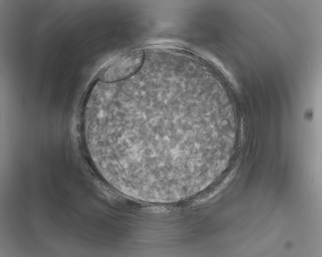 X0000116571405201001211234