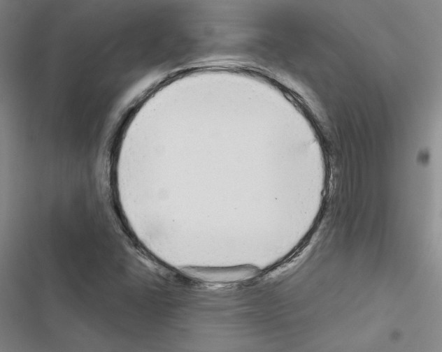 X0000116571406201001211234