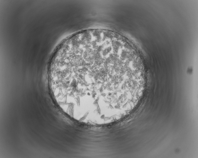 X0000116571408201001211234