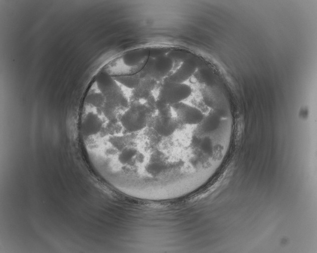 X0000116571409201001211234