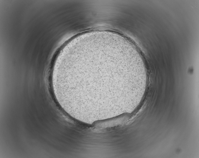 X0000116571410201001211234