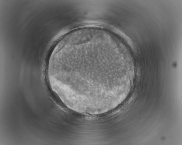 X0000116571411201001211234