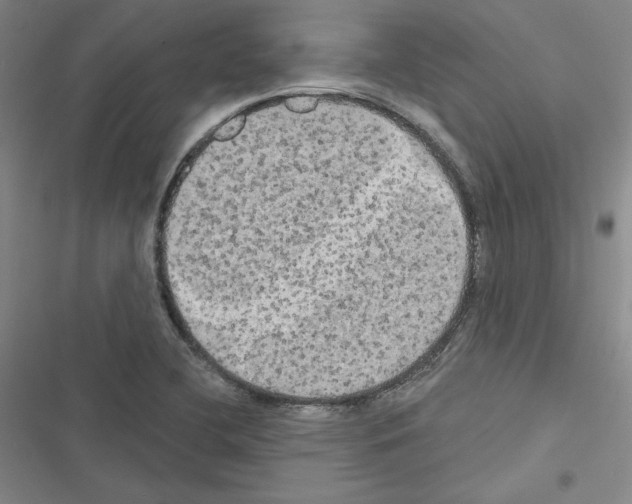 X0000116571412201001211234