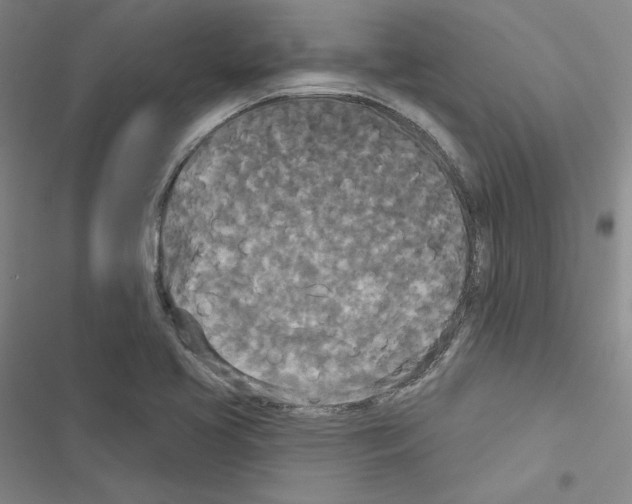 X0000116571413201001211234