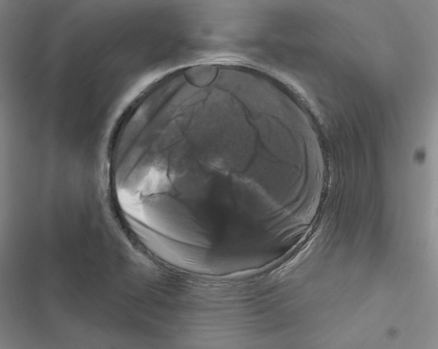 X0000116571414201001211234