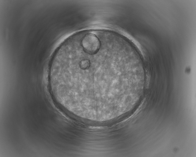 X0000116571415201001211234