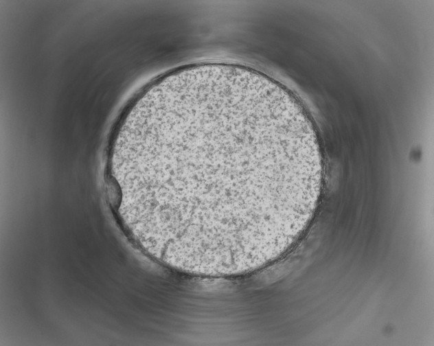 X0000116571416201001211234