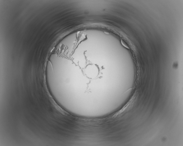 X0000116571417201001211234