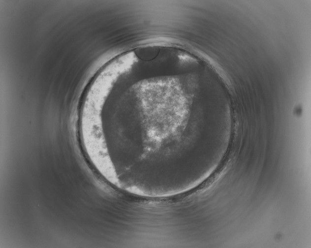 X0000116571418201001211234