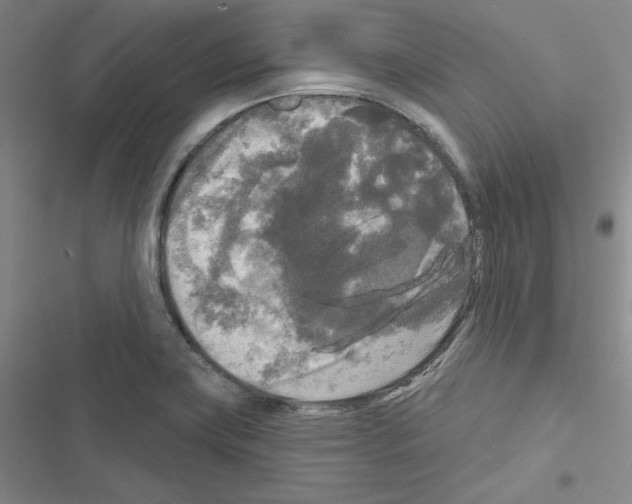 X0000116571419201001211234