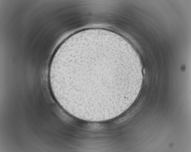 X0000116571420201001211234