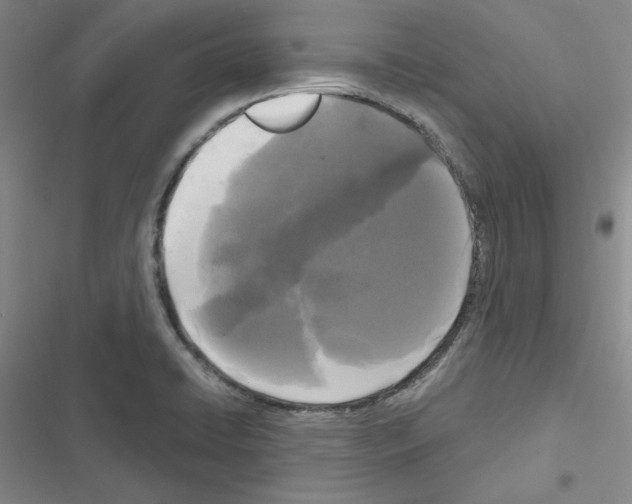 X0000116571422201001211234