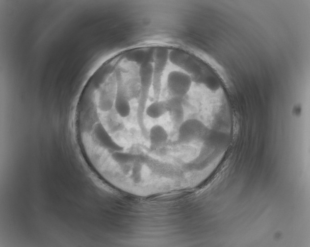 X0000116571423201001211234