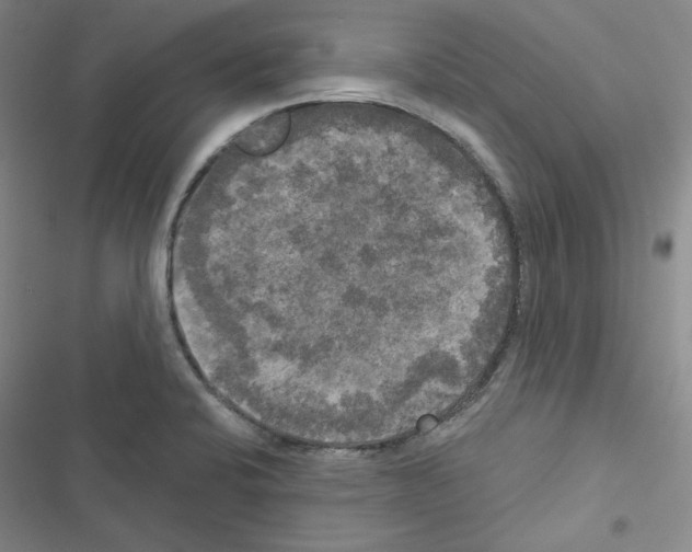 X0000116571424201001211234