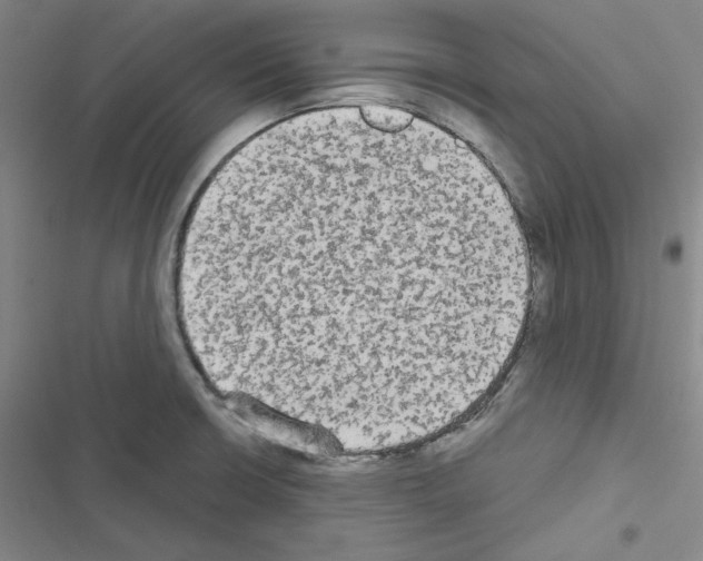 X0000116571426201001211234