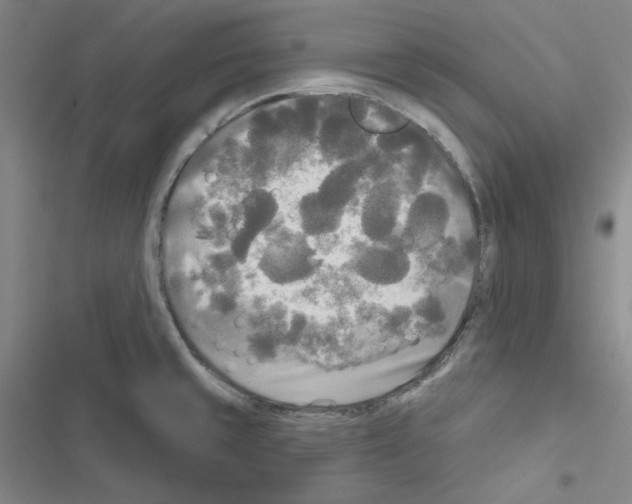 X0000116571429201001211234