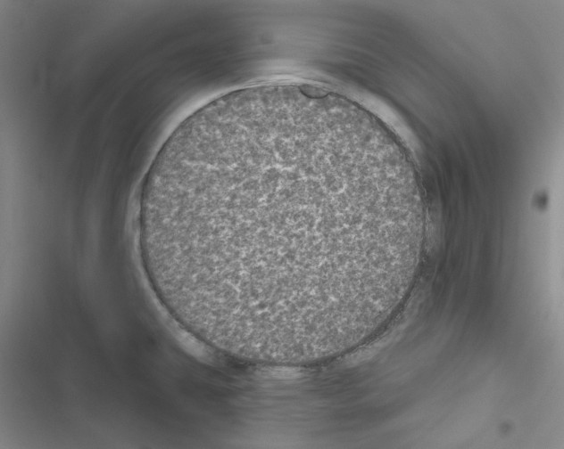 X0000116571431201001211234